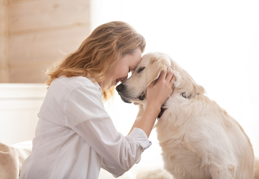 beneficios mascotas para salud humana